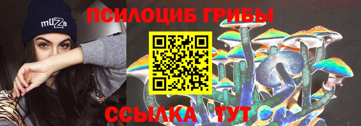 Тольятти  Псилоцибиновые грибы MAGIC MUSHROOMS  Галлюциногенные грибы GOLDEN TEACHER  Вход с VPN 